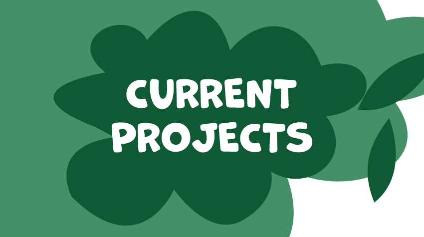 Current Projects