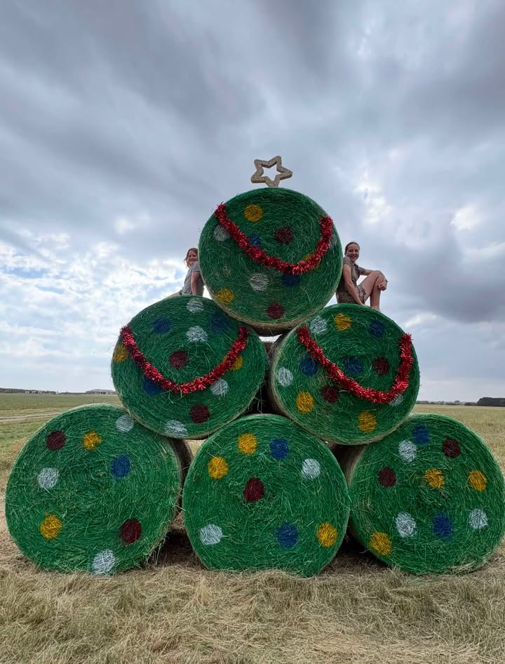 kids sitting on six giant hay bales painted like a christmas tree